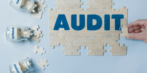 Audit